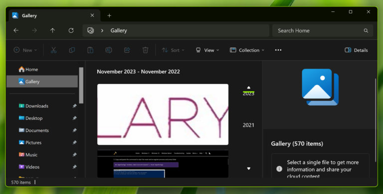 Add/remove Gallery from File Explorer on Windows 11